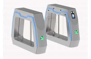 2臺(tái)豪華擺閘